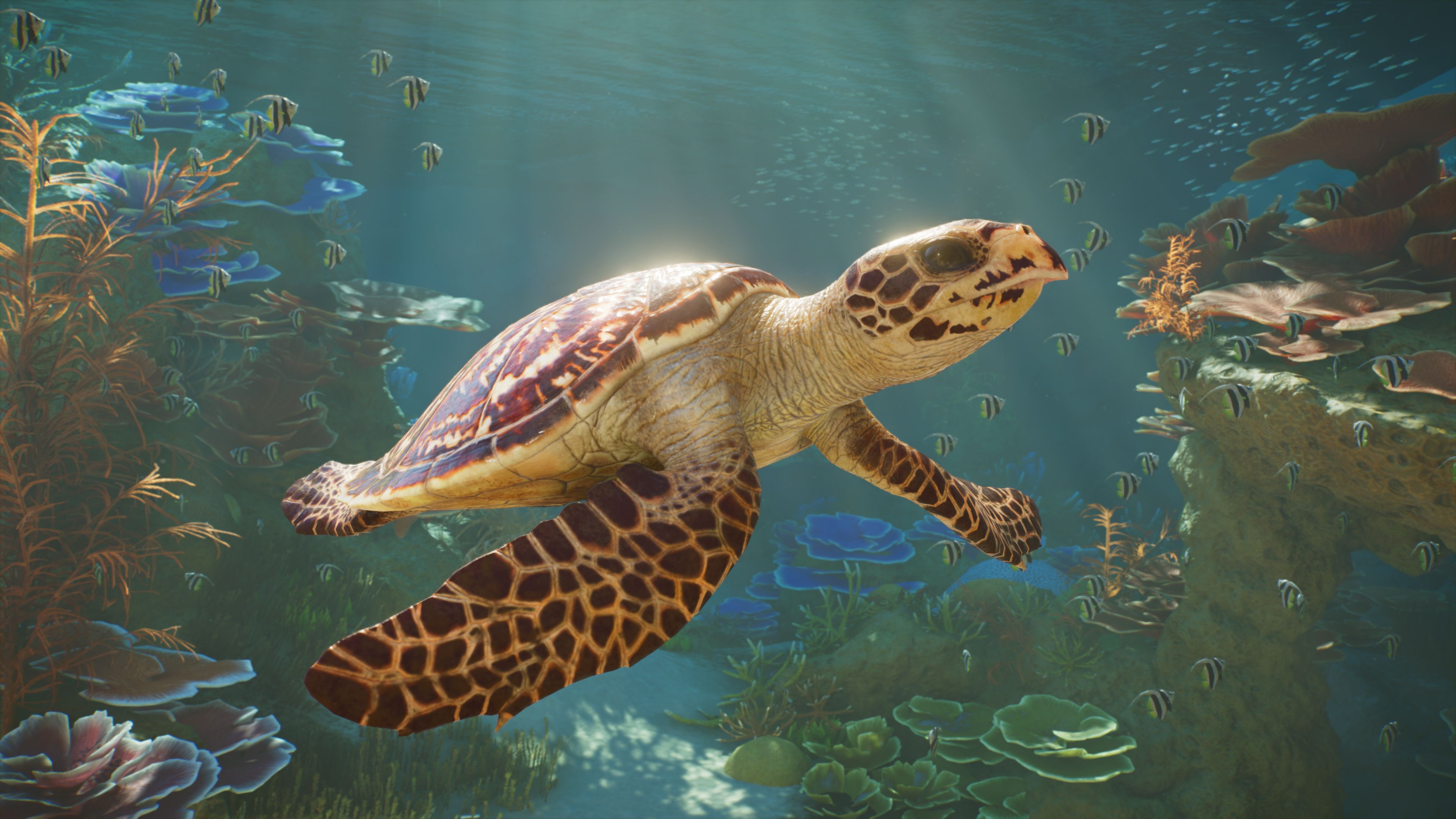 Planet Zoo 2