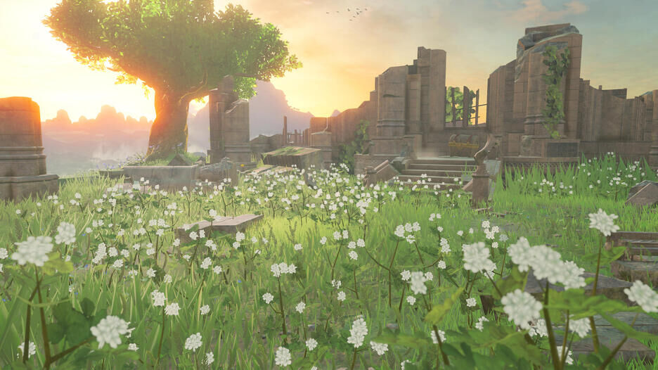 The Legend Of Zelda Breath Of The Wild Nintendo Switch