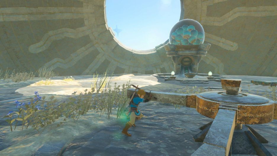 The Legend Of Zelda Tears Of The Kingdom Nintendo Switch 2 Edition | Occasion